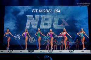 FIT-MODEL 164- 1 раунд